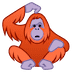 :orangutan: :orangutan: