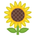 :sunflower: :sunflower: