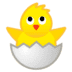 :hatching_chick: