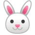 :rabbit: