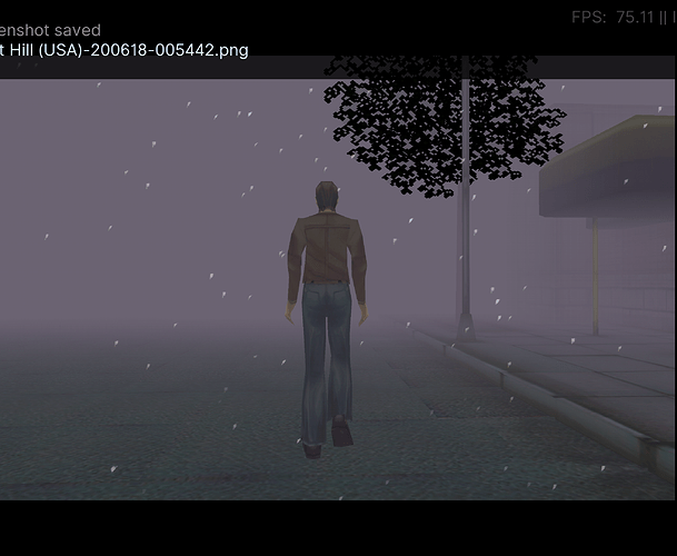 Silent Hill (USA)-200618-005455