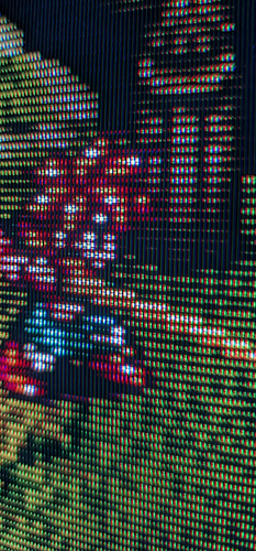 Screenshot_20260119_000017_Reddit