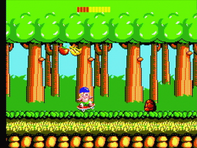 Wonder Boy (USA, Europe)-241207-063144