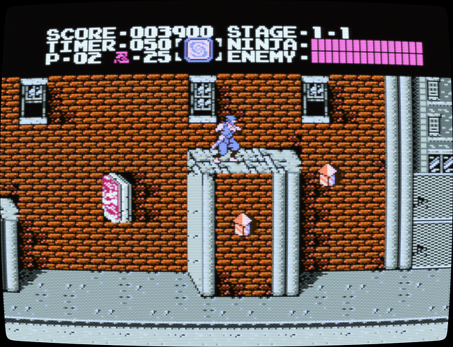 Ninja Gaiden (USA)-240217-213040