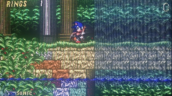 IMG_20260321_101056419_HDR