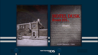 Nintendo DS (Book)