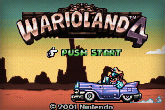 wario1