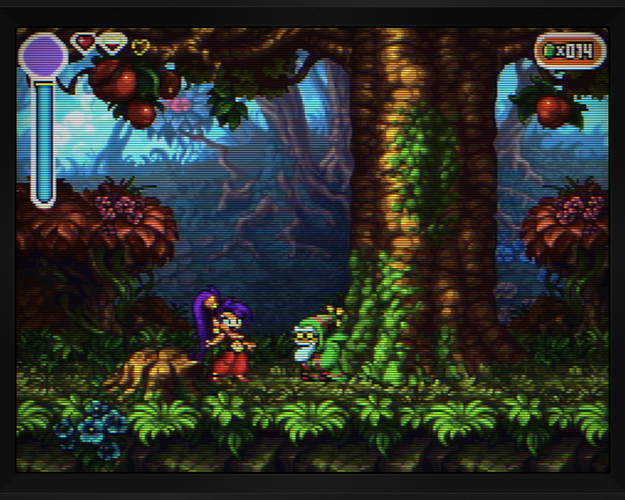 LGWK600 - Shantae Risky's Revenge - Director's Cut - CyberLab Composite IV OLED 1080p PVM-Edition ADV - 3px 200%