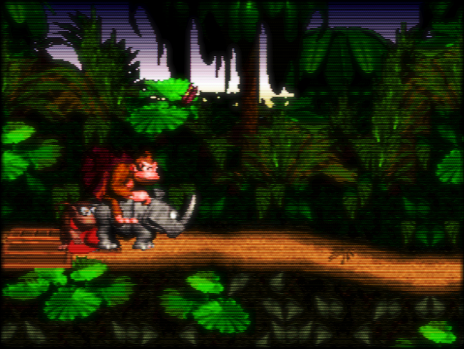 28. Donkey Kong Country (USA) (Rev 2)-230717-153330