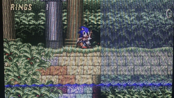 IMG_20260321_070148672_HDR