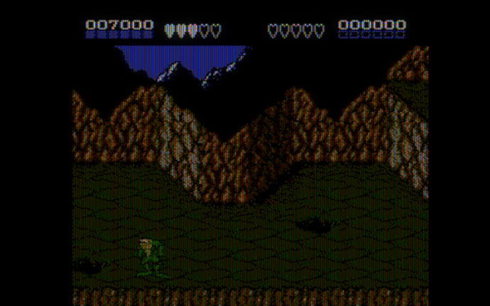 Battletoads (USA)-250531-021435