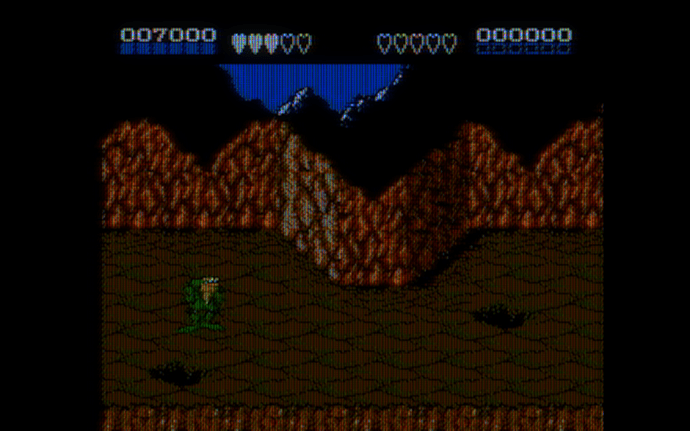 Battletoads (USA)-250531-004758