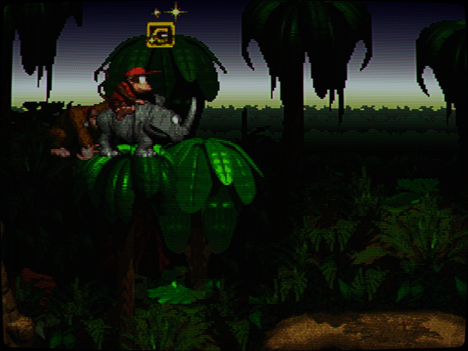 donkey kong country (v1.1) (u)-250228-233650