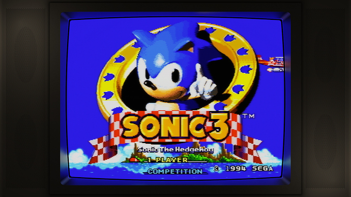 Sonic The Hedgehog 3 (USA)-210510-005210