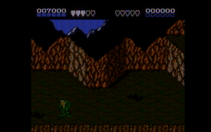 Battletoads (USA)-250531-021548