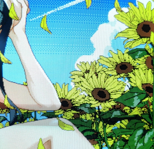 Eizo-Pc98 Comparison