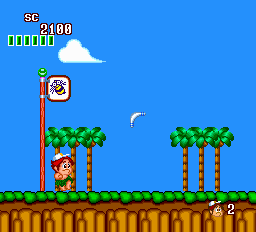 New Adventure Island (USA)